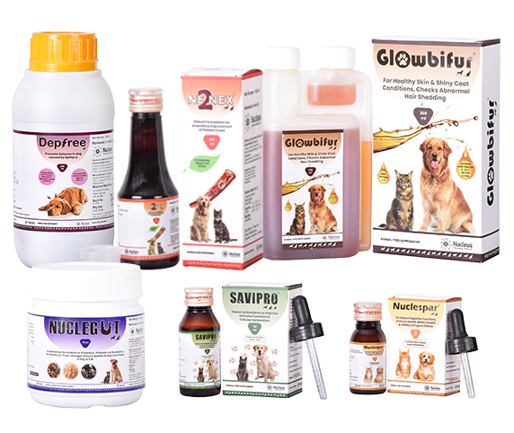 Vision_Companion_Health
